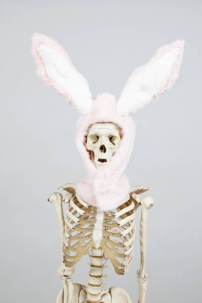 skeleton-bunny.jpg