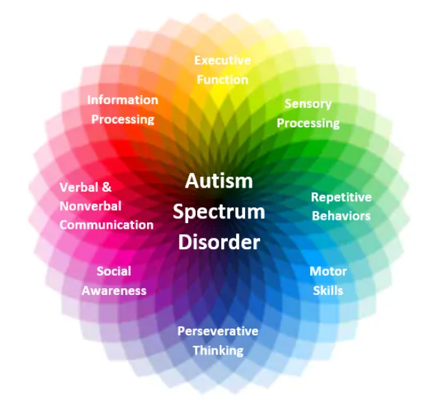 what-is-autism-spectrum-disorder.webp