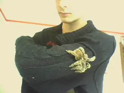 Picture 032.webp
