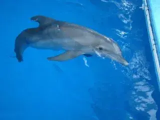 297560_10150325649612276_584182275_8083302_926240298_n.webp