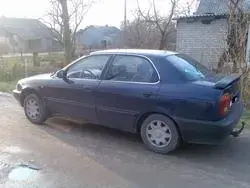 30538230009_medium.webp