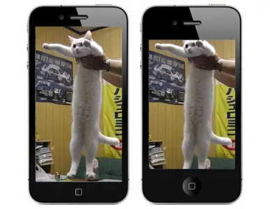 JOSP4.webp
