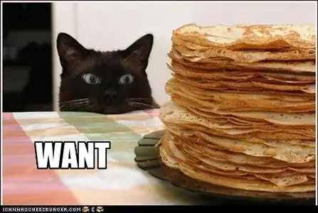 lolcat.webp
