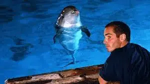 imagesCAPAKCFT.webp