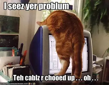 funny-pictures-cat-is-troubleshooting-your-troubles.webp