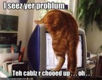 funny-pictures-cat-is-troubleshooting-your-troubles.jpg