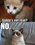 grumpy-cat-christmasthe-christmas-blog-2013--this-christmas-grumpy-cat-and-friends-clv8lffs.jpg