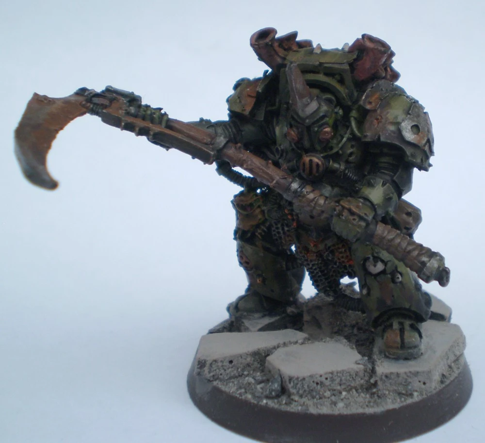 Typhus.webp