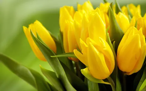 image.webp