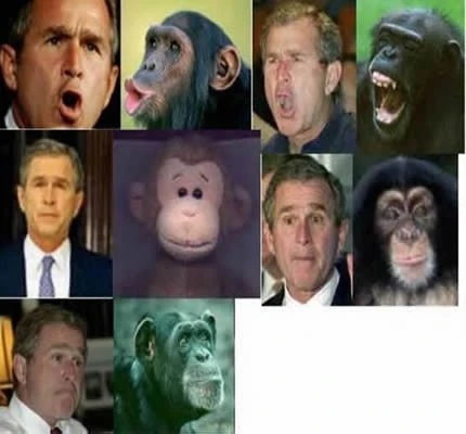 ImageUploadedByAspiesCentral.com1399586771.246192.webp