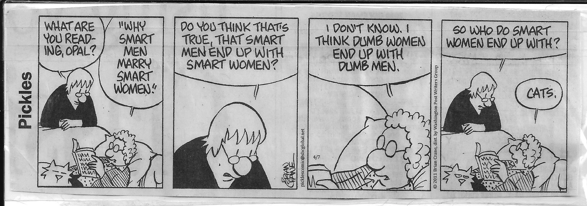 Smart Women With Cats.webp