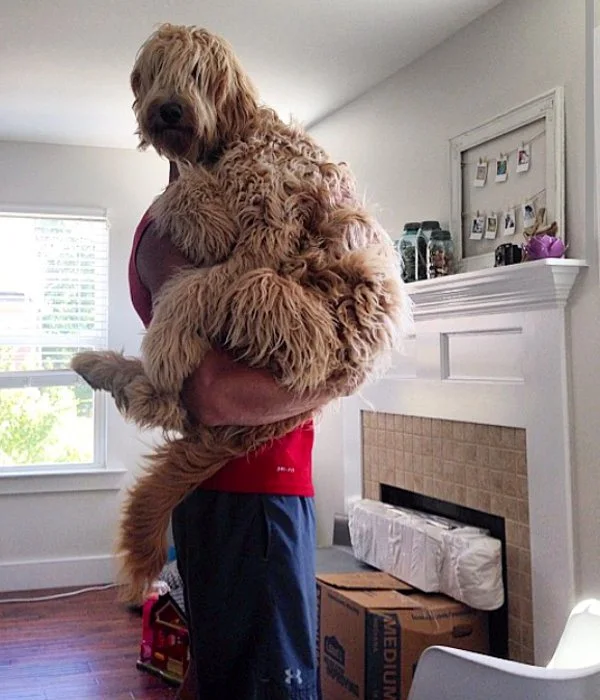 picdump-1128-5.webp