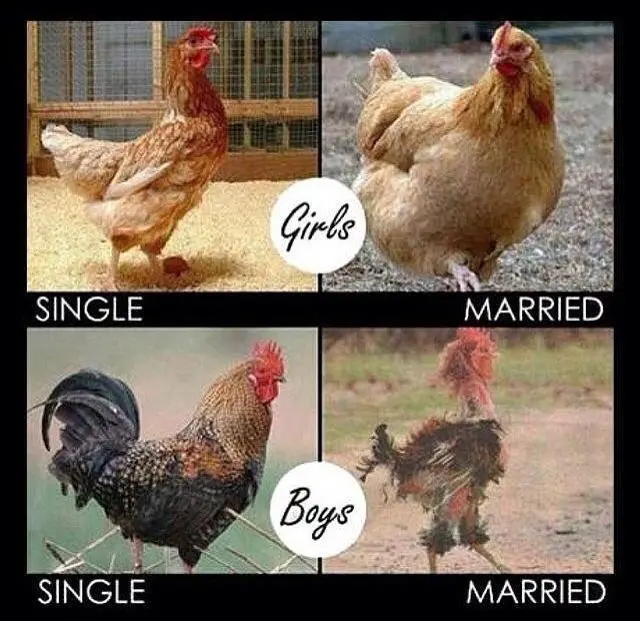 BYP-singlemarried.webp