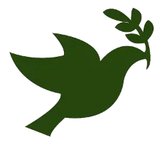 upload_2017-5-19_15-50-32.webp