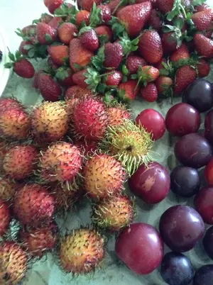 image.webp