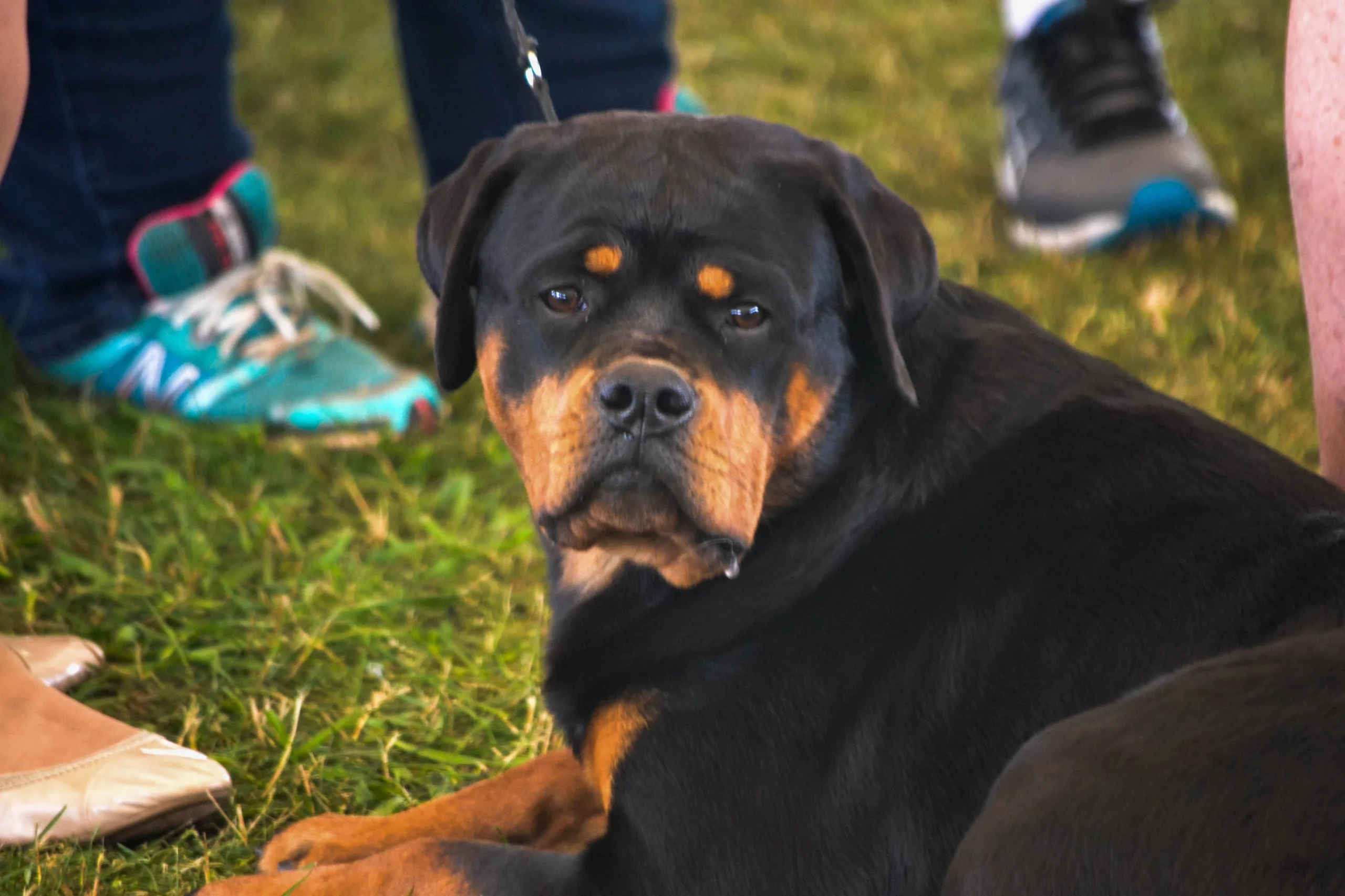 DSC_0020 (2).webp
