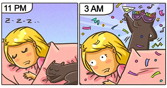funny-cat-comics-catsu-fb__700-png.webp