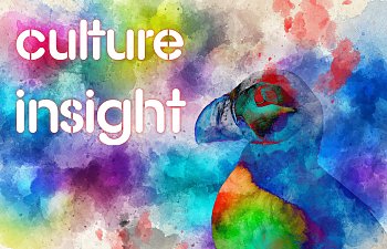 Culture Insight
