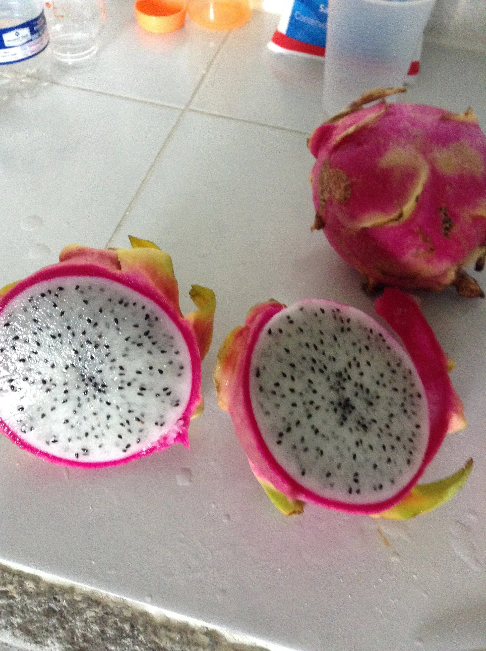 image.webp image.webp