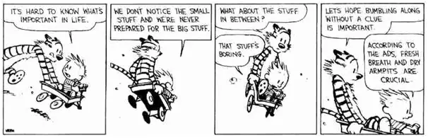calvin and hobbes wagon.webp calvin and hobbes wagon.webp