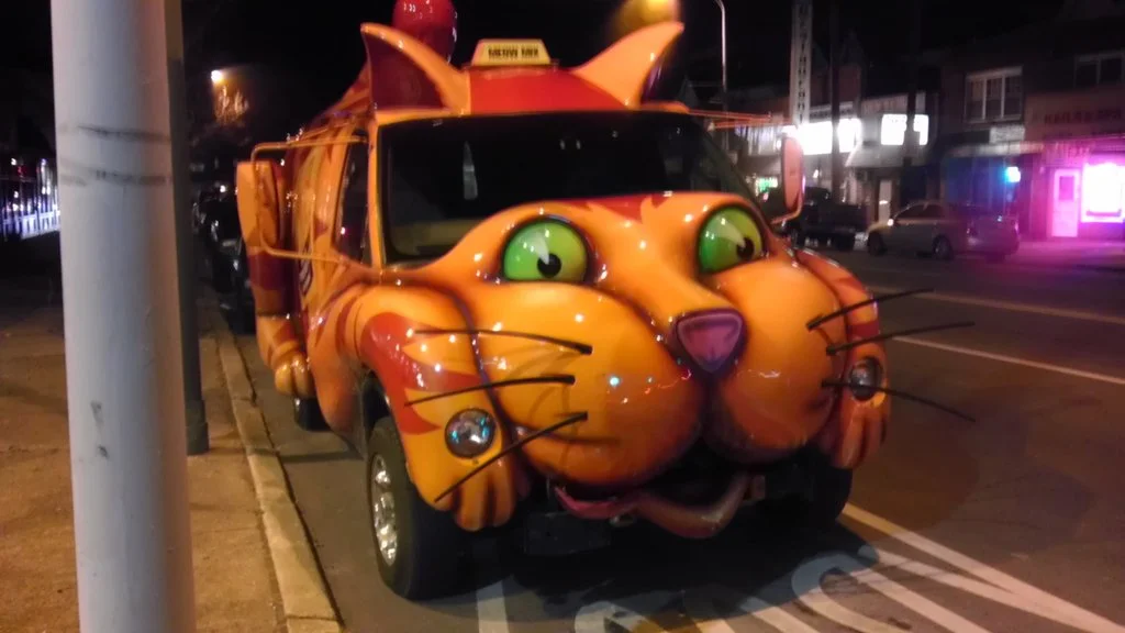 Cat Car.webp