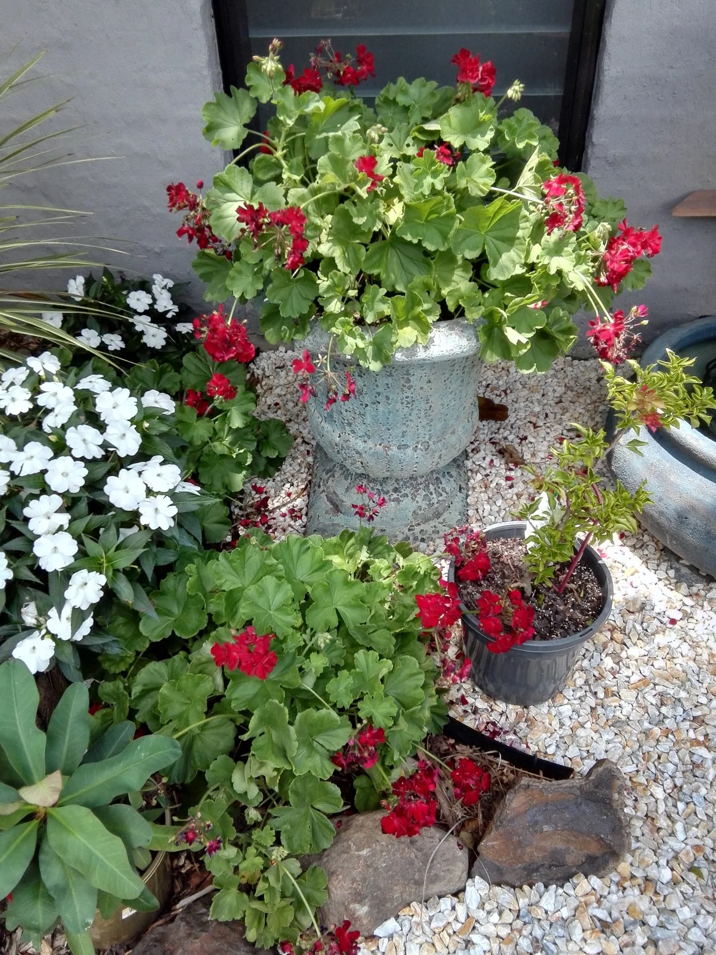 IMG_20180104_123441.webp