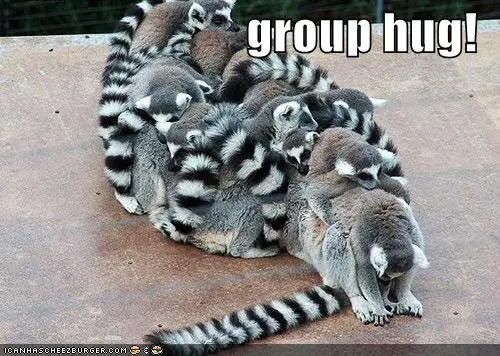GroupHug.webp