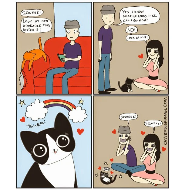 Cute-Kitten.webp