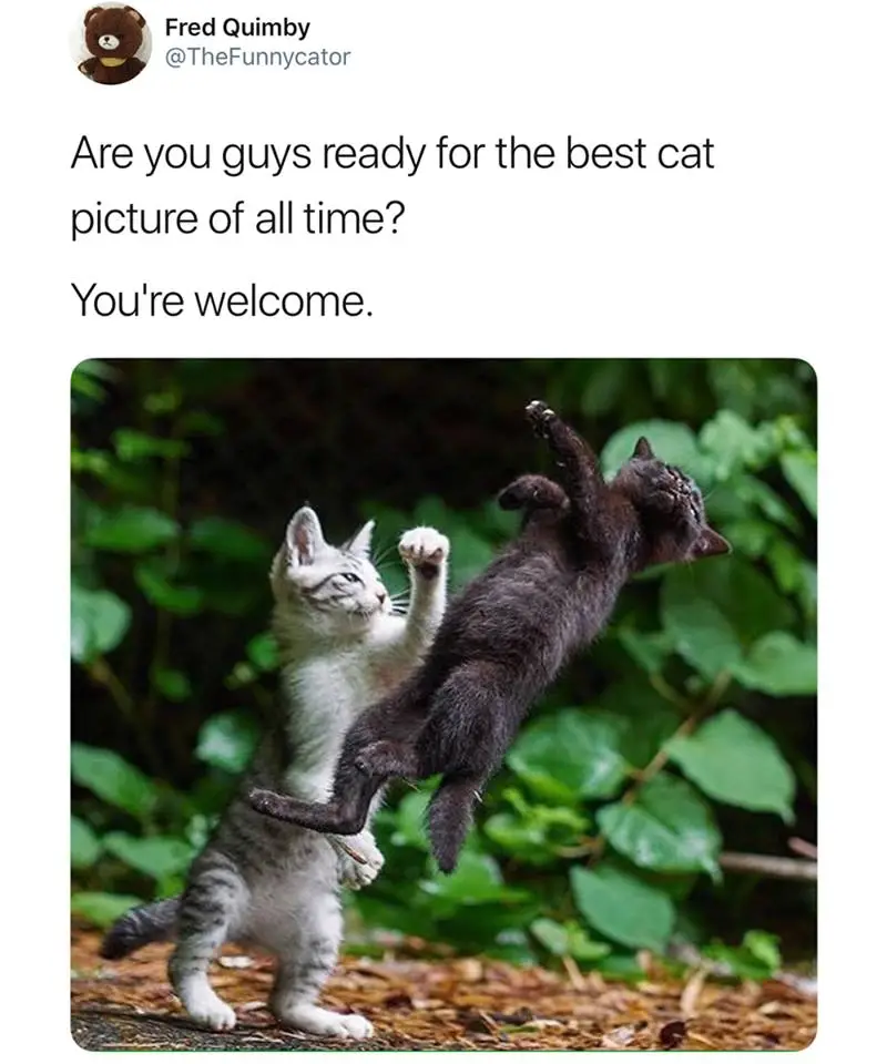 28576831_2229398313999300_2405368633268534358_n.webp