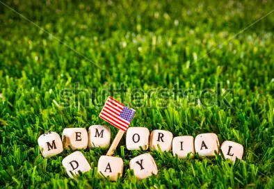 upload_2018-5-28_17-8-34.webp