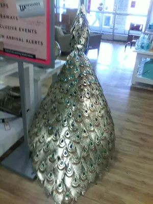 peacock.webp