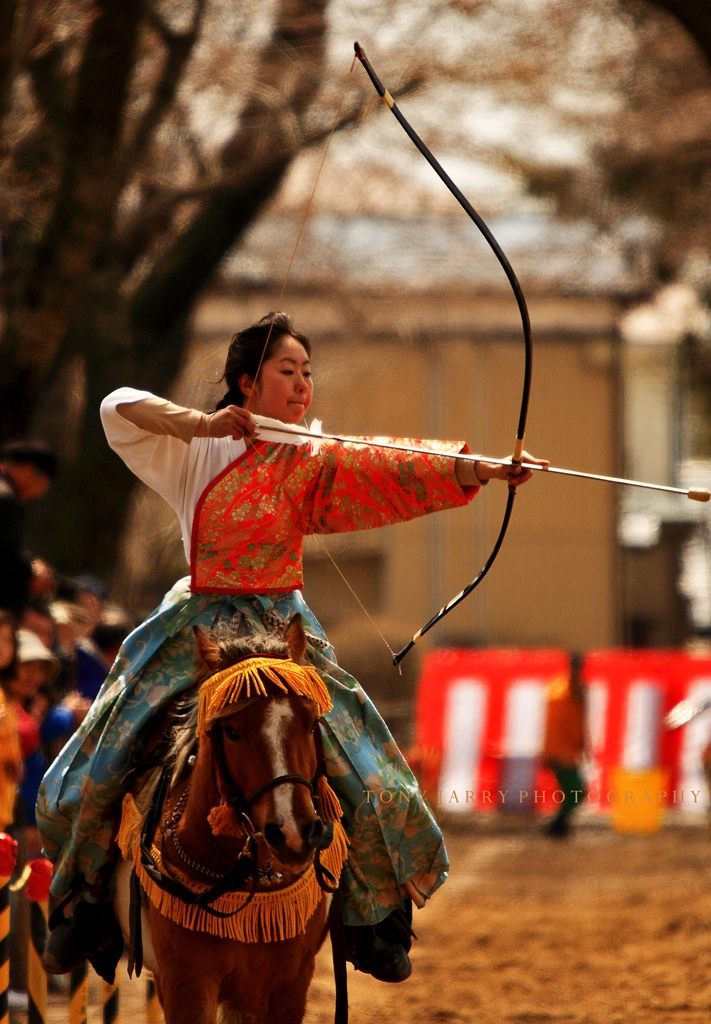 women_warrior_series_by_maxre.webp