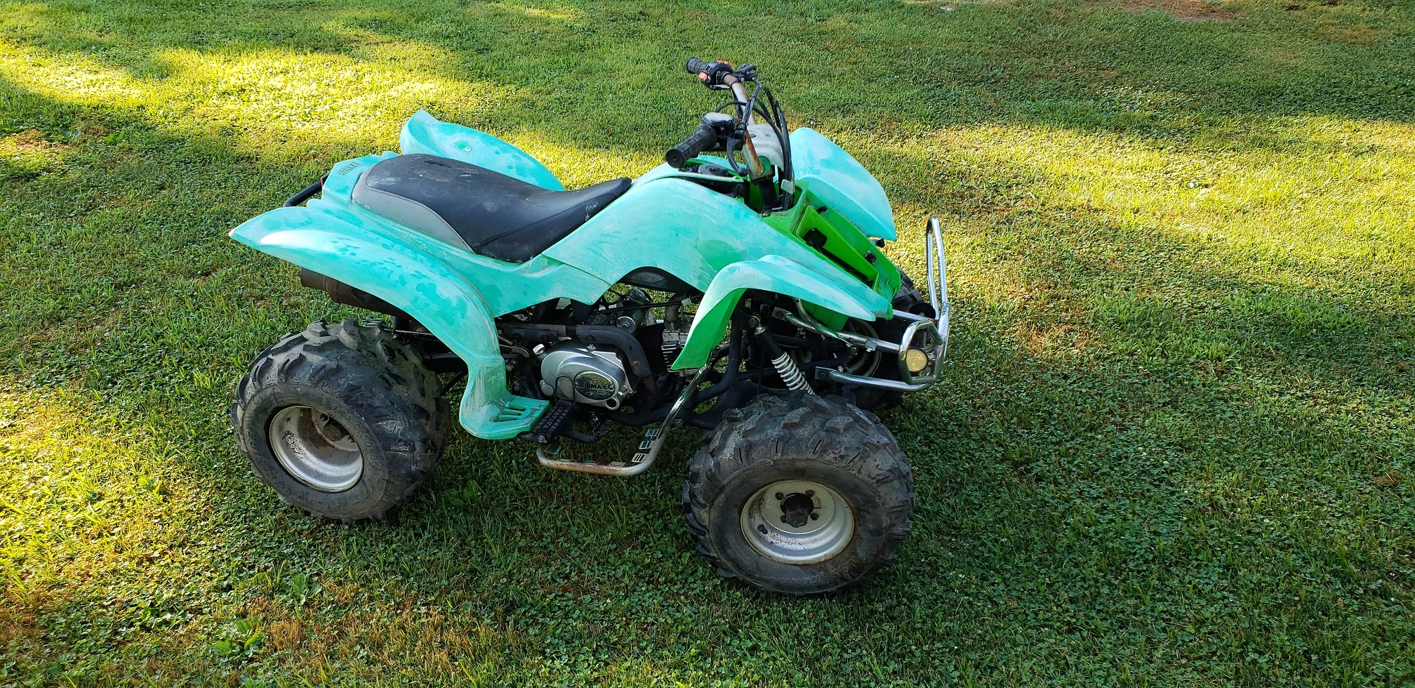 chinesium green.webp