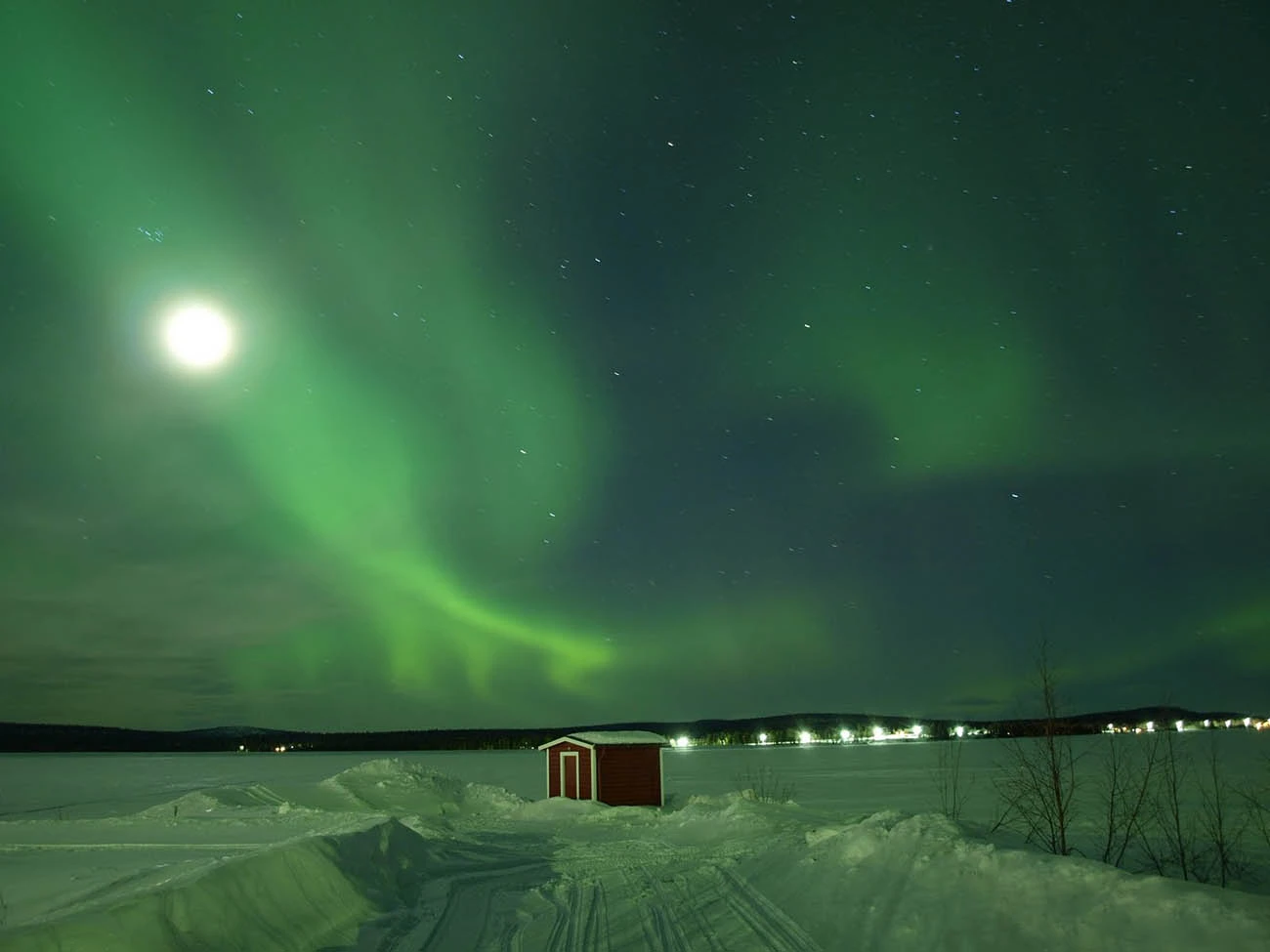 Northern Lights.webp