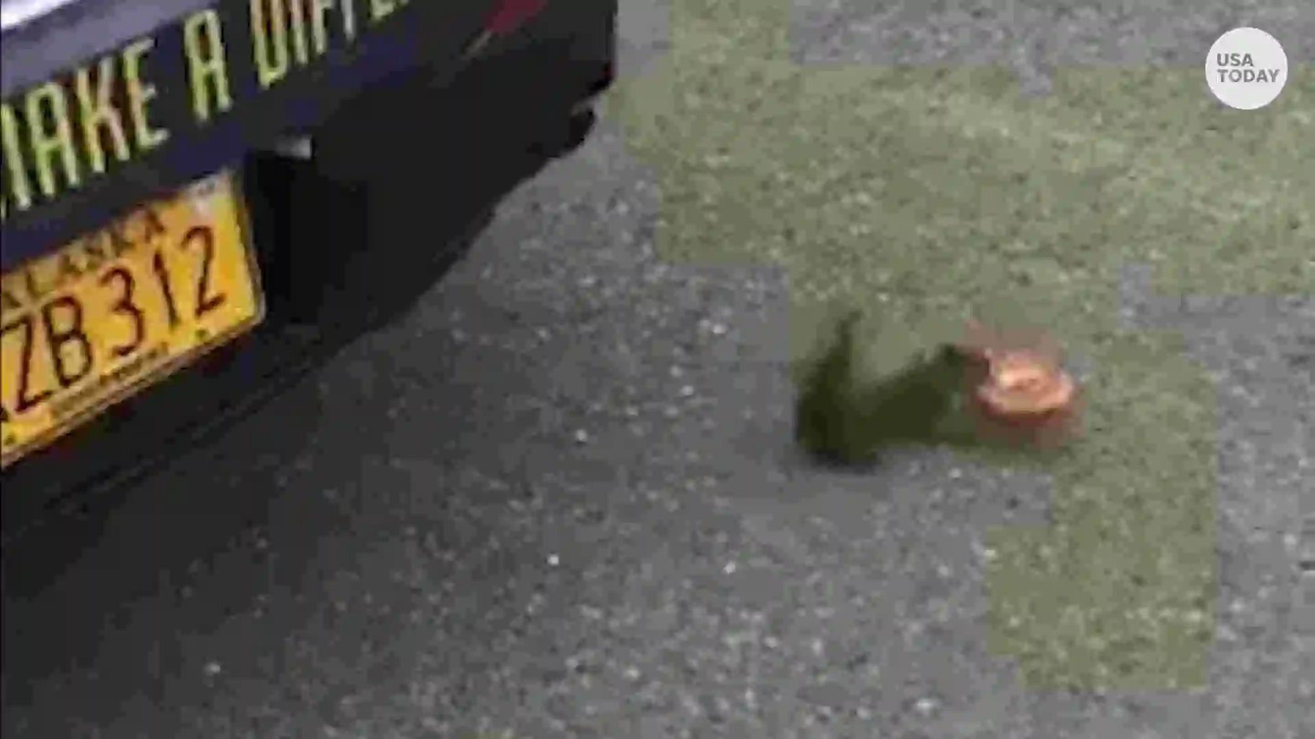 636657105345766187-VPCSEEN-DONUT-SQUIRREL-DESKTOP-THUMB.webp