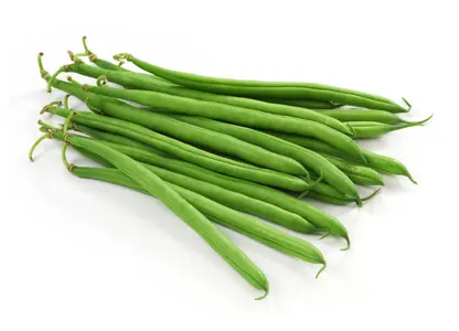 beans.webp