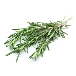 Rosemary2.webp