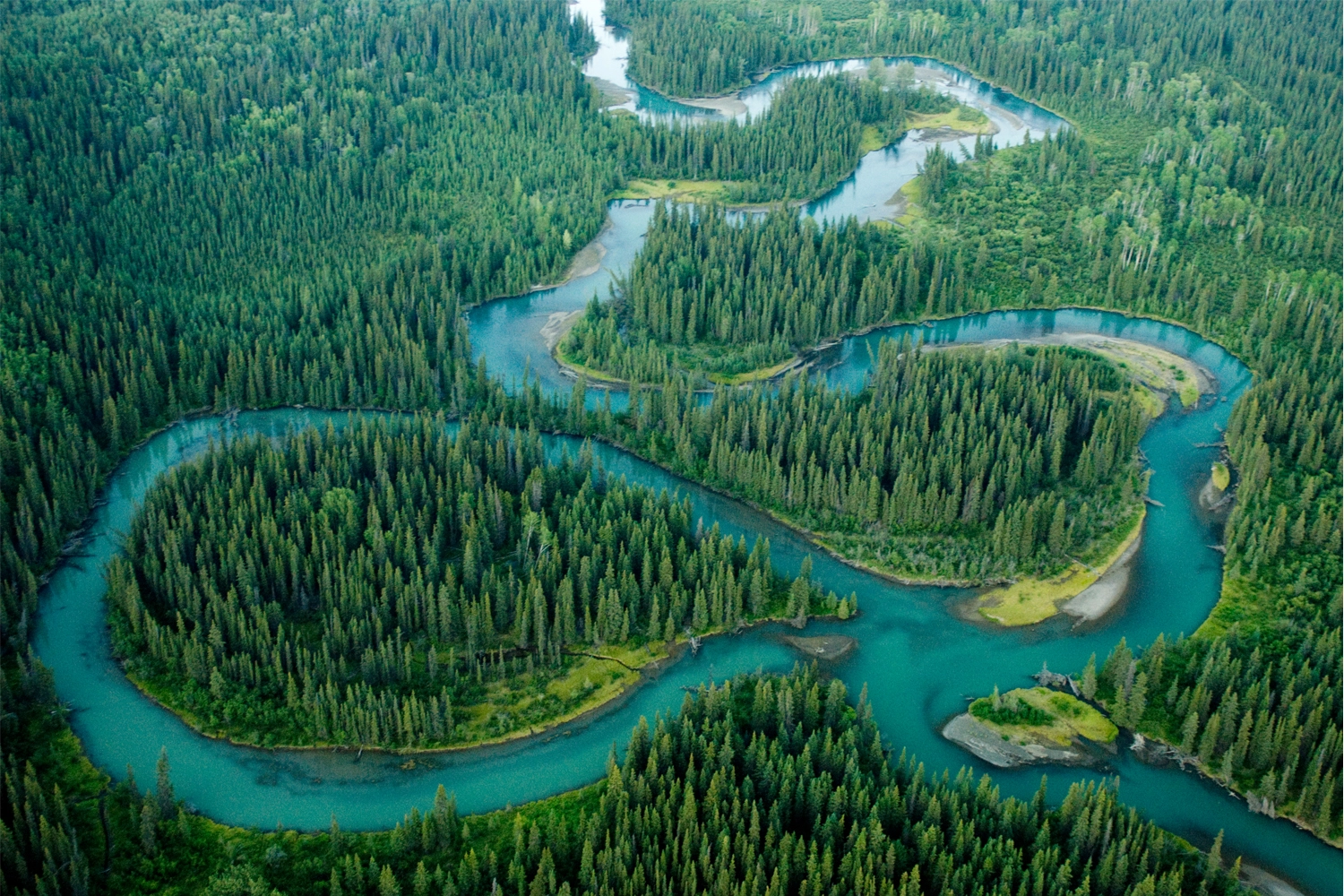 canada.webp