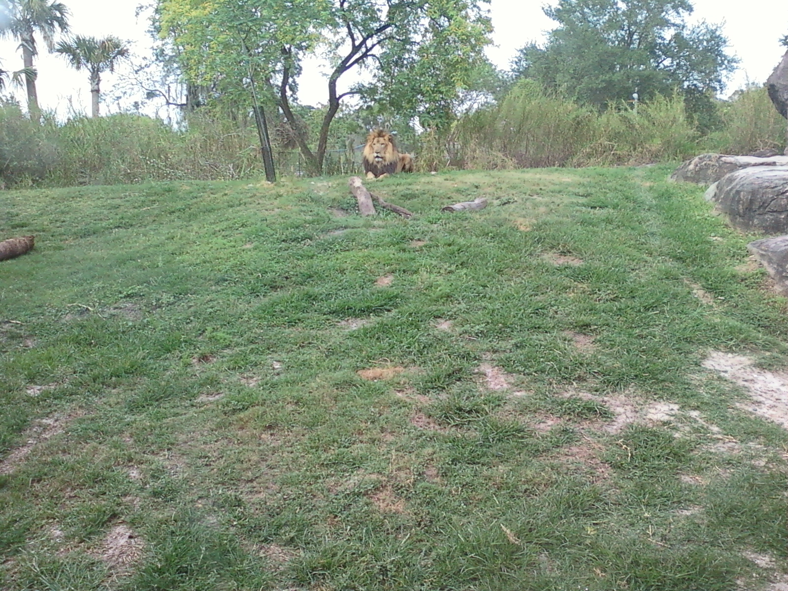 0429164948.webp