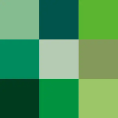 green2.webp