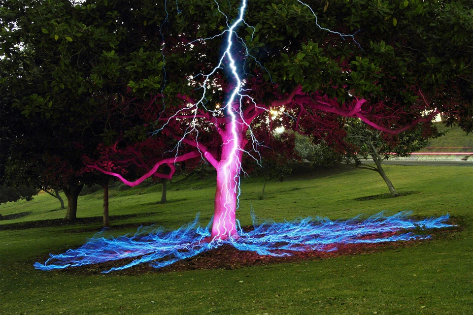 long-exposure-tree.webp