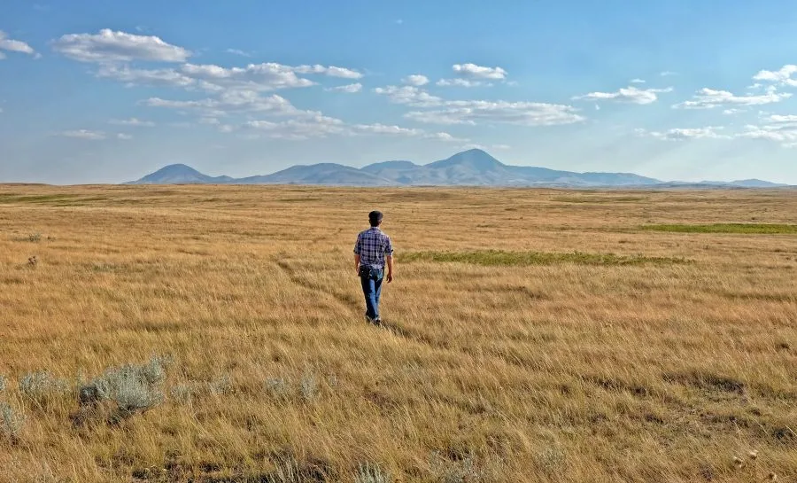 Sweetgrass Hills 01.webp