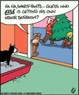 cats dogs.webp