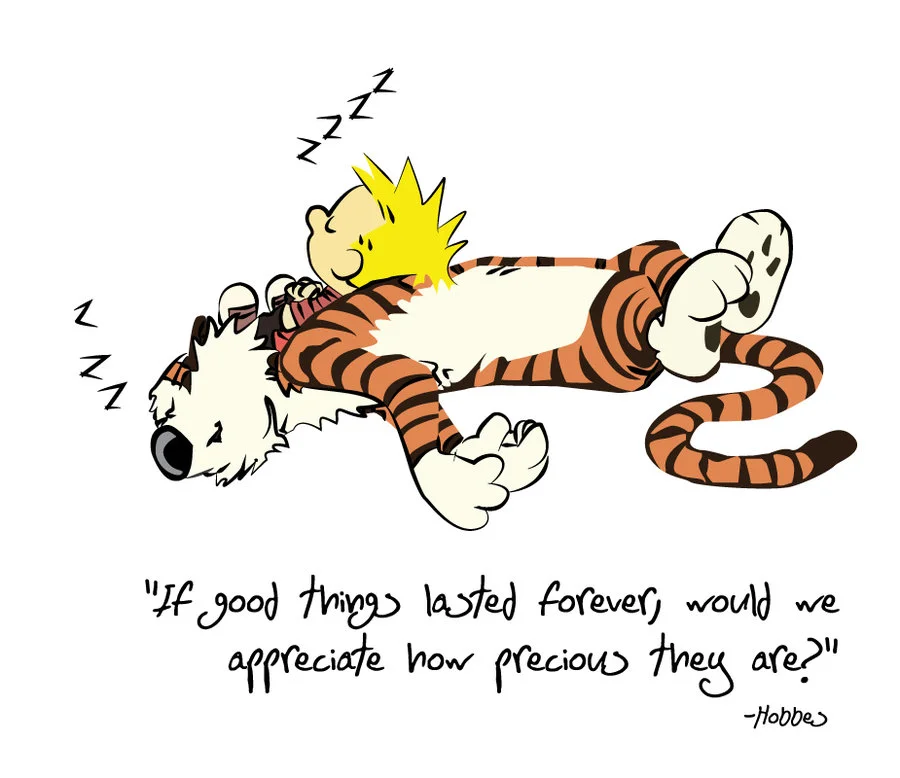 hobbes_quote_by_lizink-d54o8y7.webp