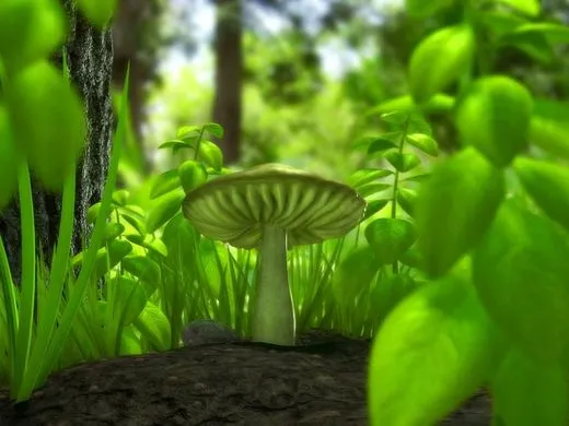 green mushrooms.webp