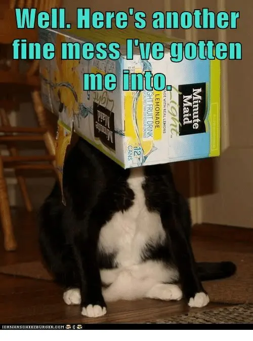well-heres-another-fine-mess-luc-gotten-me-into-3-ce-33911644.webp