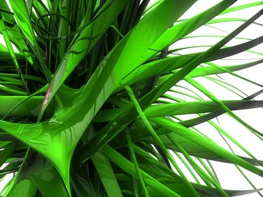 green7.webp