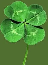 clover.webp