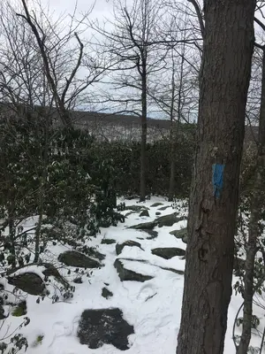 Thanksgiving Day Hike