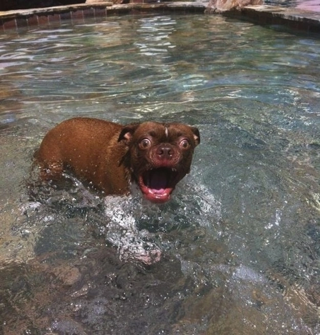 20130426_306524.webp